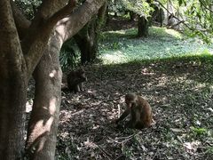 -苏州上方山国家森林公园