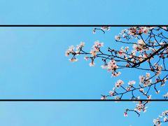 -堤角公园