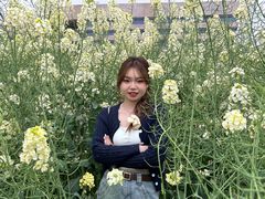 -三圣花乡旅游区