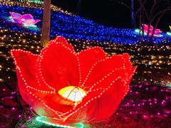 -青龙湖公园