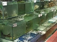 水产区-胖姐渔村(中源大道店)