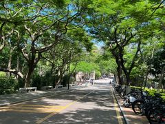 -厦门大学(思明校区)