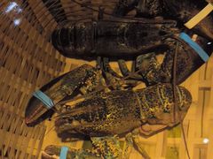 -拉完海鲜大排档(温岭店)