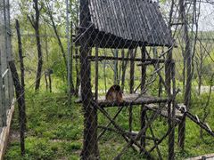 -哈尔滨北方森林动物园