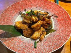 -菌自由丨野生菌火锅特色庭院餐厅(丽江古城店)