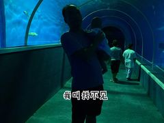 -北戴河圣蓝海洋公园