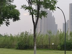 -金银湖国家城市湿地公园