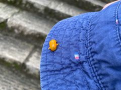 -广州白江湖森林公园