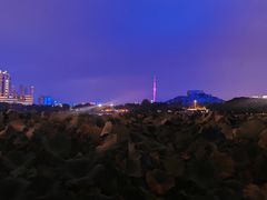 -月湖风景区