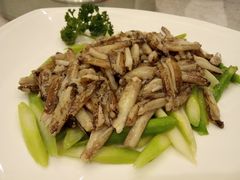 -新光酒家·河豚·海鲜·蟹料理(浦东店)