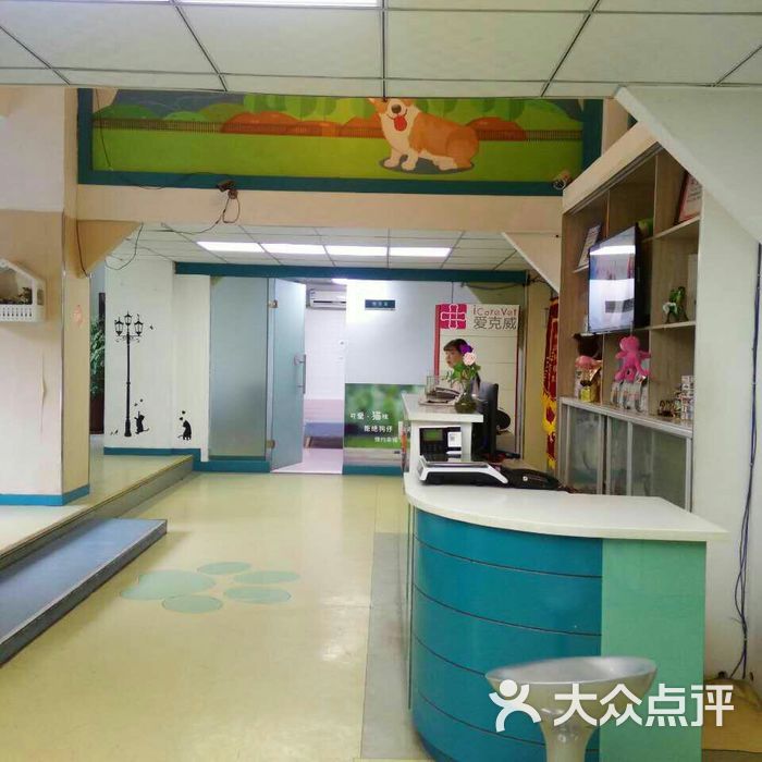 北京宠颐生动物医院图片