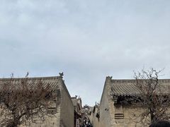 -山西王家大院