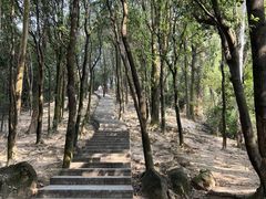 -火炉山森林公园