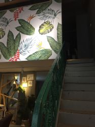 点击看大图 -U-Nail