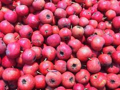 -人人乐(解放路二店)