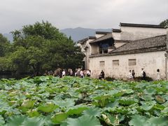 -南湖书院
