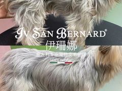 -听雨小筑茶舍(观音桥·龙湖新壹街店)