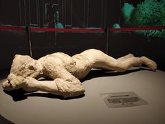 -盘龙城国家考古遗址公园