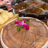 春日限定！！和狗狗经理一起寻味春天…