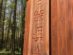 -同里国家湿地公园