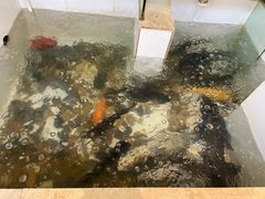 -小乡小镇·传承桐庐土菜·老板亲自烧的菜