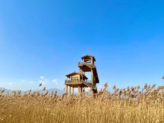 -野鸭湖国家湿地公园