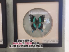 -深圳龙华星河COCO City(民治店)