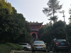 -铁山坪森林公园