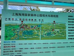 -上海海湾国家森林公园