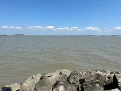 -上海滨江森林公园