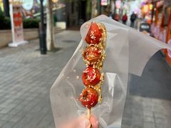 -劈柴院