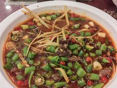 -糊涂兔毛毛菜(八里庄店)