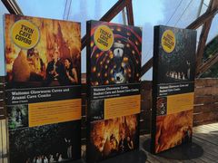 -怀托摩萤火虫洞