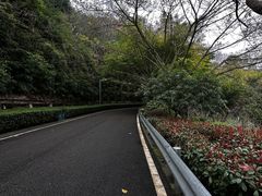 -重庆园博园
