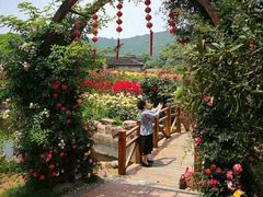 -龙寺生态园