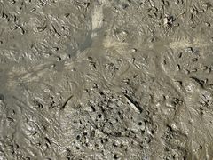 -北海金海湾红树林生态旅游区