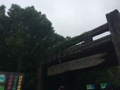 -天目湖山水园