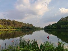 -南国桃园旅游度假区