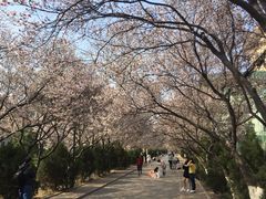-山东师范大学(千佛山校区)