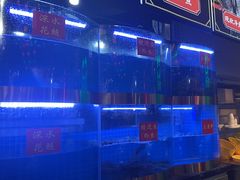 -蛙一刀·麻椒鱼火锅(金仙桥店)