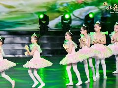 -小荧星艺校(浦东中环分校)