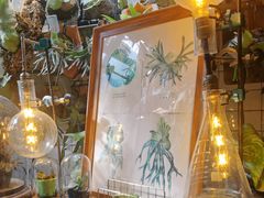 -大水的店(昙华林店)