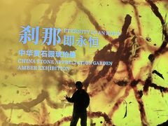 -中华赏石园