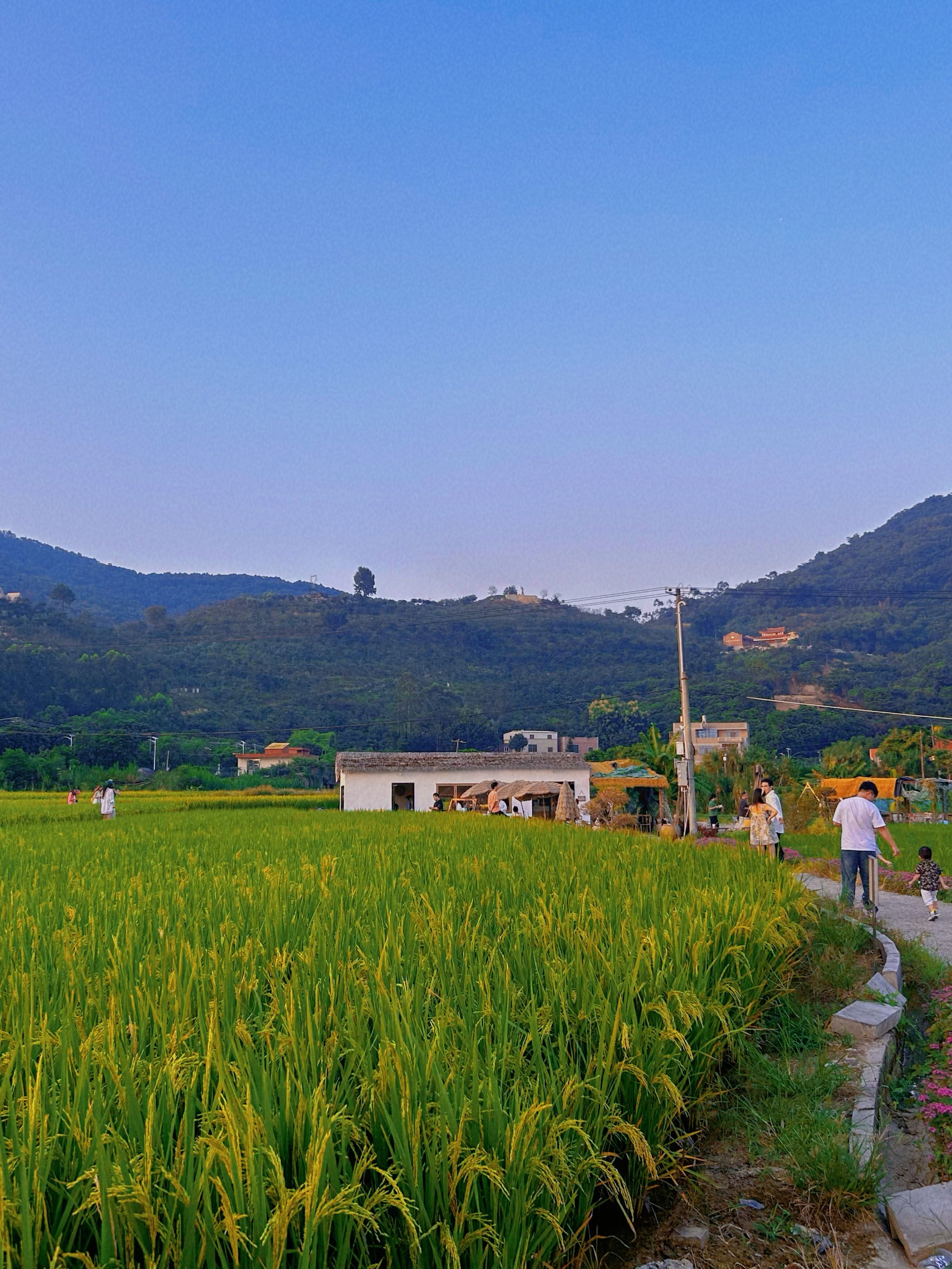 乡村风光走进田间小路