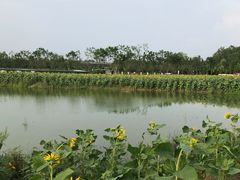 -桤木河湿地公园