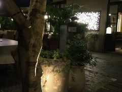 -T館·花园艺术餐厅