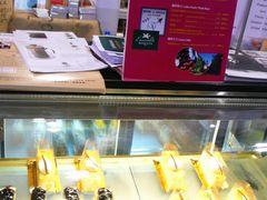 -香港会议展览中心演讲厅