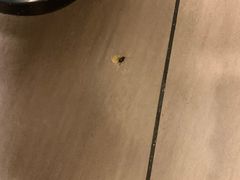 -麦当劳(厦门思明路店)