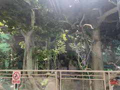 -福州罗源湾海洋世界旅游区