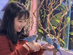-顺德南宏海立方海洋公园